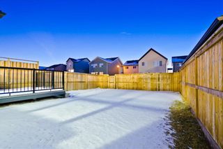 Photo 28: 142 SKYVIEW POINT CR NE in Calgary: Skyview Ranch House for sale : MLS®# C4226415