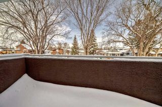 Photo 24: 1533 19 Avenue NW in Calgary: Capitol Hill Detached for sale : MLS®# A2114696