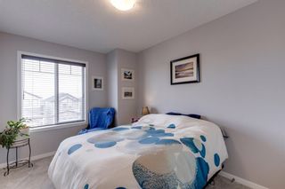 Photo 40: 142 Nolanhurst Rise NW in Calgary: Nolan Hill Detached for sale : MLS®# A1214654