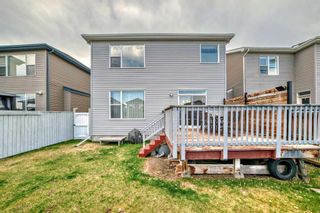 Photo 48: 1589 Copperfield Boulevard SE in Calgary: Copperfield Detached for sale : MLS®# A2131890