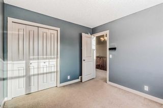 Photo 29: 117 Seagreen Manor: Chestermere Detached for sale : MLS®# A2121597