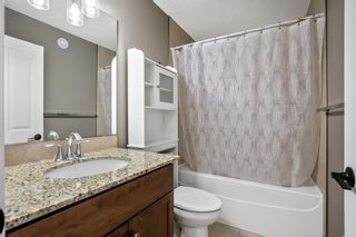Photo 38: 161 Chaparral Valley Mews SE in Calgary: Chaparral Detached for sale : MLS®# A2000340