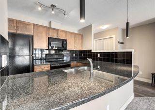 Photo 7: 5 215 Village Terrace SW in Calgary: Patterson Apartment for sale : MLS®# A2011286