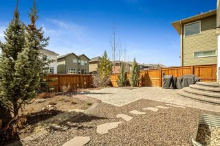 Photo 42: 49 Legacy Terrace SE in Calgary: Legacy Detached for sale : MLS®# A2123389