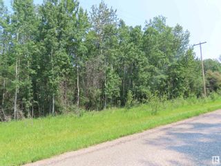 Photo 12: 55209 Range Road 35: Rural Lac Ste. Anne County Vacant Lot/Land for sale : MLS®# E4348716