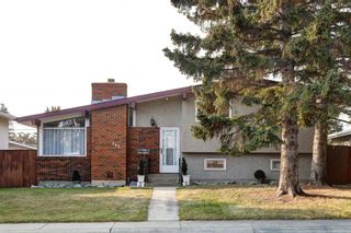 Photo 31: 347 96 Avenue SE in Calgary: Acadia Detached for sale : MLS®# A2002364