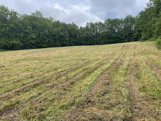 Photo 13: Lot 5928 East River West Side Road in Eureka: 108-Rural Pictou County Vacant Land for sale (Northern Region)  : MLS®# 202314450