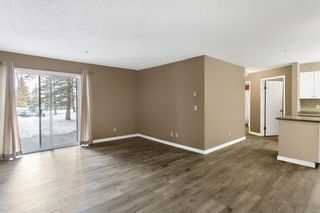 Photo 13: 103 4000 Sommervale Court SW in Calgary: Somerset Apartment for sale : MLS®# A2034041