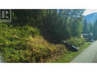 Photo 2: 130 Maple Street in Revelstoke: Vacant Land for sale : MLS®# 10262697