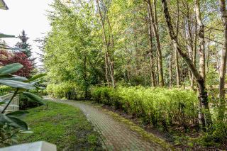 Photo 13: 105 2988 SILVER SPRINGS BOULEVARD in Coquitlam: Westwood Plateau Condo for sale : MLS®# R2165302