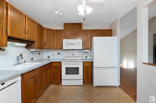 Photo 16: 11128 22A Avenue in Edmonton: Zone 16 House for sale : MLS®# E4324950