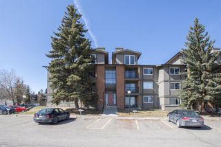Photo 1: 333 6400 coach hill Road in Calgary: Coach Hill Apartment for sale : MLS®# A1089415