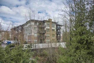 Photo 14: 407 11667 HANEY Bypass in Maple Ridge: West Central Condo for sale in "HANEY'S LANDING" : MLS®# R2156885