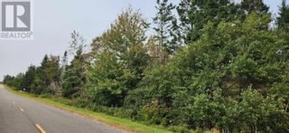 Photo 4: Route 324 Peters Road in Peters Road: Vacant Land for sale : MLS®# 202320831