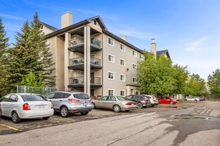 Photo 20: 3309 4975 130 Avenue SE in Calgary: McKenzie Towne Apartment for sale : MLS®# A1226406