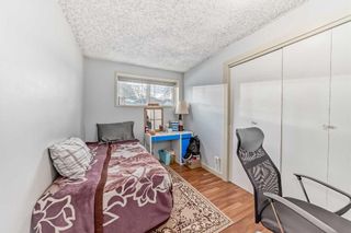 Photo 34: 303 Temple Close NE in Calgary: Temple Detached for sale : MLS®# A2113673