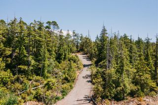 Photo 6: LOT B Hawkes Rd in Ucluelet: PA Ucluelet Land for sale (Port Alberni)  : MLS®# 924860