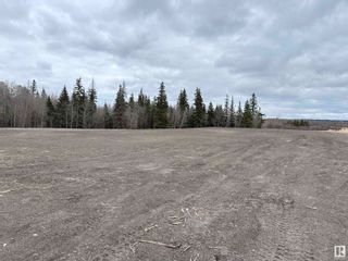 Photo 13: 26505 Meadowview Drive: Rural Sturgeon County Vacant Lot/Land for sale : MLS®# E4366205
