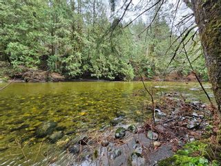 Photo 9: 3781 Phillips Rd in Sooke: Sk Phillips North House for sale : MLS®# 956978