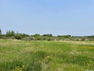 Photo 17: Swan Plain Acreage 40 Acres in Clayton: Residential for sale (Clayton Rm No. 333)  : MLS®# SK932674