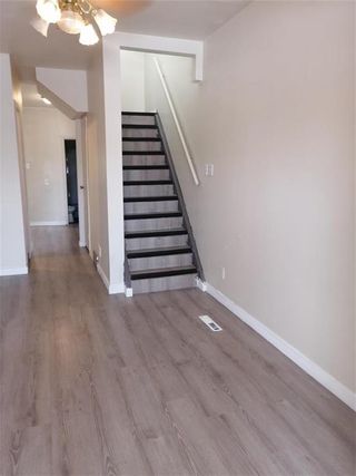 Photo 14: 220 Rutland Street in Winnipeg: St James Residential for sale (5E)  : MLS®# 202304201