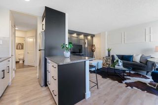 Photo 13: 301 934 2 Avenue NW in Calgary: Sunnyside Apartment for sale : MLS®# A2123961