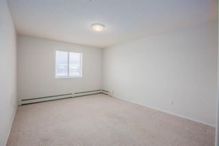 Photo 18: 220 290 Shawville Way SE in Calgary: Shawnessy Apartment for sale : MLS®# A1056416