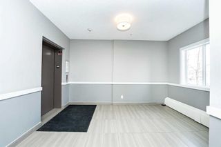 Photo 5: 111 20 Sage Hill Terrace NW in Calgary: Sage Hill Apartment for sale : MLS®# A2129158