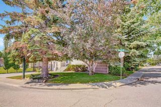 Photo 48: 5415 Trelle Drive NE in Calgary: Thorncliffe Detached for sale : MLS®# A2059548
