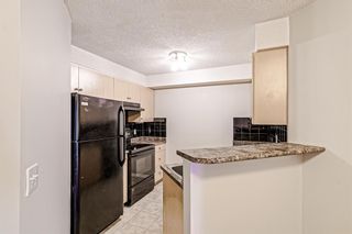 Photo 6: 3413 1620 70 Street SE in Calgary: Applewood Park Apartment for sale : MLS®# A1258533