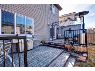 Photo 45: 105 CHAPARRAL RAVINE View SE in Calgary: Chaparral House for sale : MLS®# C4111705