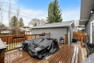 Photo 41: 4208 26 Street NW in Calgary: Brentwood Detached for sale : MLS®# A2129919