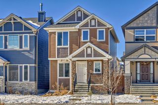 Photo 2: 261 Skyview Ranch Boulevard NE in Calgary: Skyview Ranch Detached for sale : MLS®# A2109080