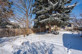Photo 36: 215 25 Avenue NW in Calgary: Tuxedo Park Detached for sale : MLS®# A2118005