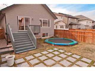 Photo 23: 139 AUBURN BAY Close SE in Calgary: Auburn Bay House for sale : MLS®# C4008235