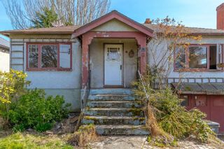 Photo 4: 3041 Earl grey St in Saanich: SW Gorge House for sale (Saanich West)  : MLS®# 927800