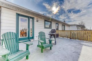 Photo 33: 81 Cumberland Drive NW in Calgary: Cambrian Heights Detached for sale : MLS®# A2033439