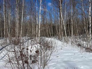 Photo 10: Lot 3 Canaan Road in Nicholsville: Kings County Vacant Land for sale (Annapolis Valley)  : MLS®# 202304225