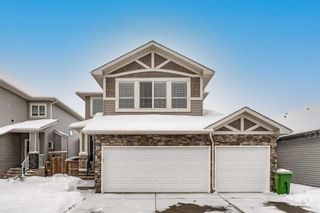 Photo 1: 161 Rainbow Falls Heath: Chestermere Detached for sale : MLS®# A2125718