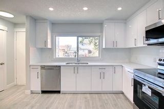 Photo 16: 138 Castlebrook Rise NE in Calgary: Castleridge Semi Detached (Half Duplex) for sale : MLS®# A2006589