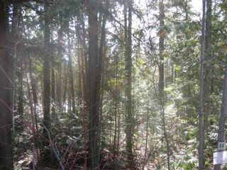 Photo 5: Lot 84 Anglemont  Way in Anglemont: Land Only for sale : MLS®# 10001830