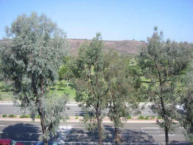 Main Photo: DEL CERRO Residential for sale : 1 bedrooms : 6675 Mission Gorge #B207 in San Diego