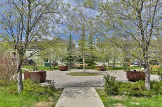 Photo 13: 201 1000 CITADEL MEADOW Point NW in Calgary: Citadel Apartment for sale : MLS®# C4297179