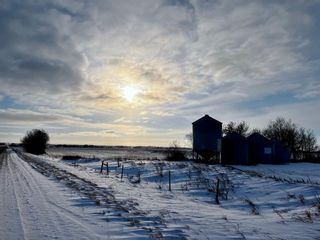 Photo 7: SE 34-45-19-W4: Rural Camrose County Residential Land for sale : MLS®# A2013938
