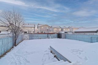 Photo 16: 7848 Martha’s Haven Park in Calgary: Martindale Detached for sale : MLS®# A2107008
