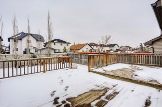 Photo 44: 38 SOMERSIDE Crescent SW in Calgary: Somerset House for sale : MLS®# C4142576