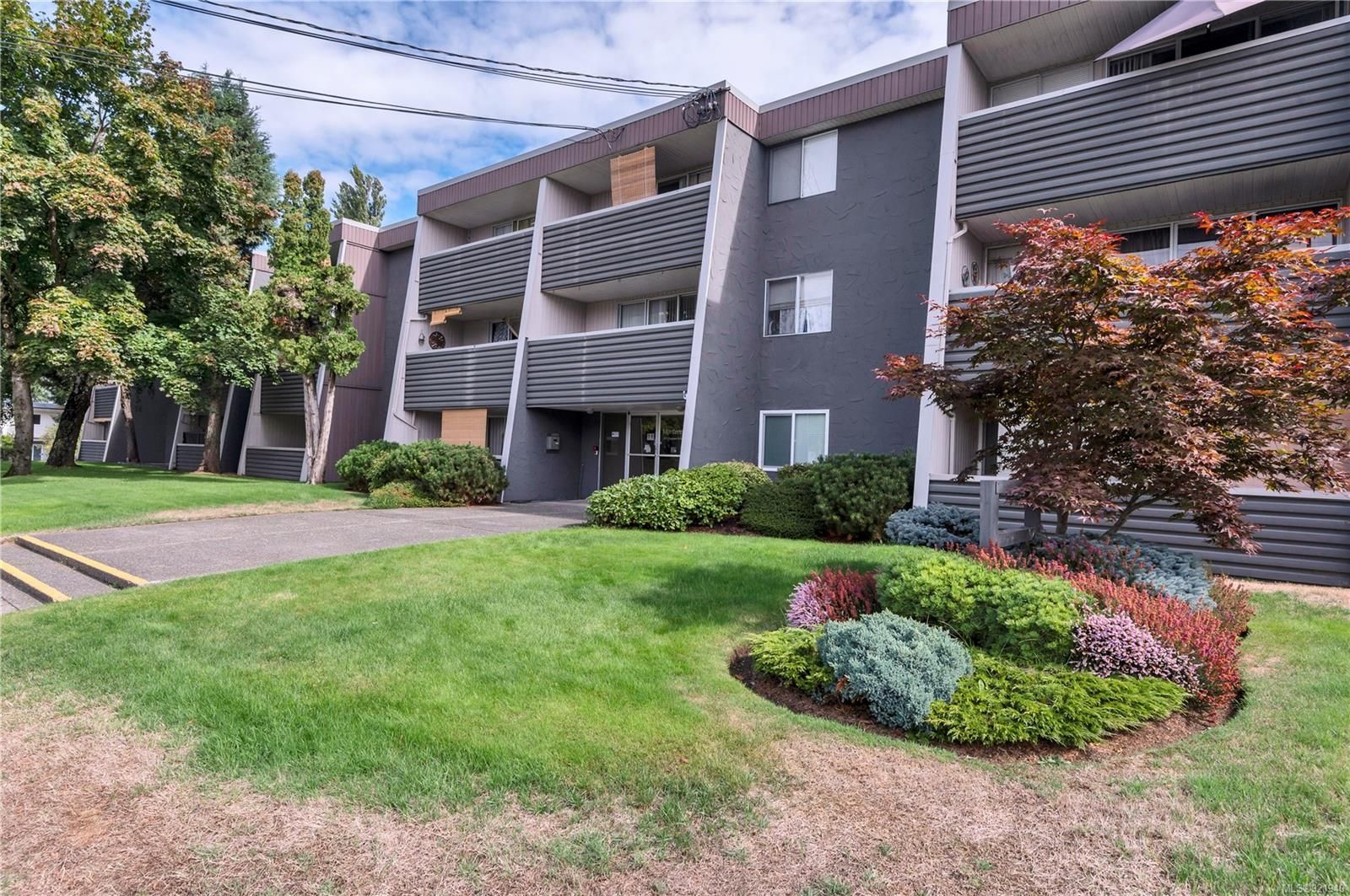 Main Photo: 209 377 Dogwood St in Campbell River: CR Campbell River Central Condo for sale : MLS®# 921940