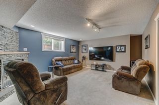 Photo 28: 128 Copperfield Close SE in Calgary: Copperfield Detached for sale : MLS®# A1246134