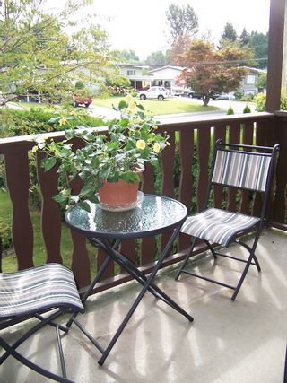 Photo 11: 2927 BABICH Street in Abbotsford: Central Abbotsford House for sale : MLS®# F2919136