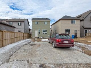 Photo 22: 203 SKYVIEW POINT Road NE in Calgary: Skyview Ranch House for sale : MLS®# C4106765